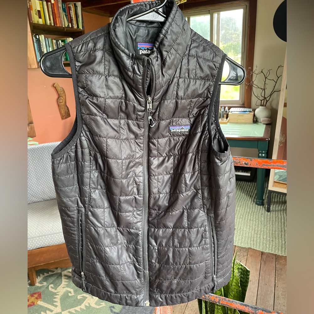Black puffer Patagonia best